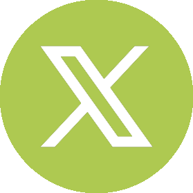 x icon